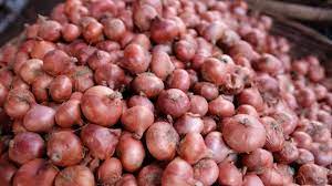 Govt scraps minimum price threshold for onion exports