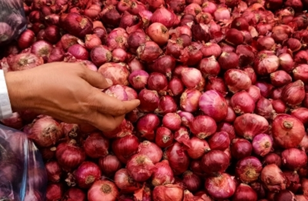 Kanda express train with 840 metric tonnes of onion arrives in Delhi