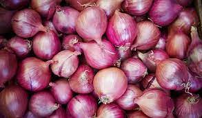 Retail sale of onion begins in Delhi-NCR & Mumbai