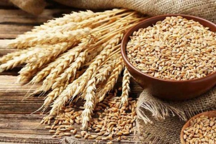 Centre Revises Wheat Stock Limits to Curb Hoarding