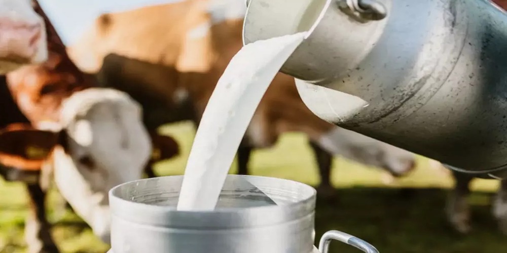 Country’s milk production witnesses growth of 63.5% in last 10 years