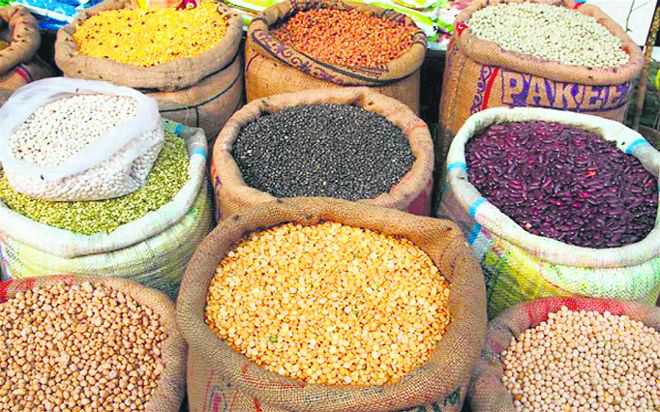 Procurement of pulses and oilseeds crops of Kharif season will start from 1st October