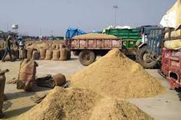 Over 65 Lakh Tonnes of Paddy Procured in Punjab