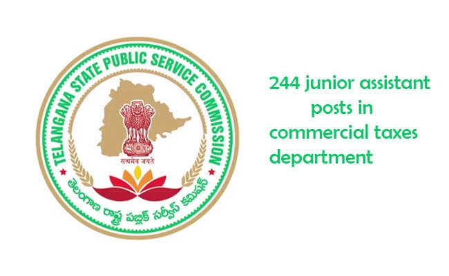 telanganastatetofill244juniorassistantposts