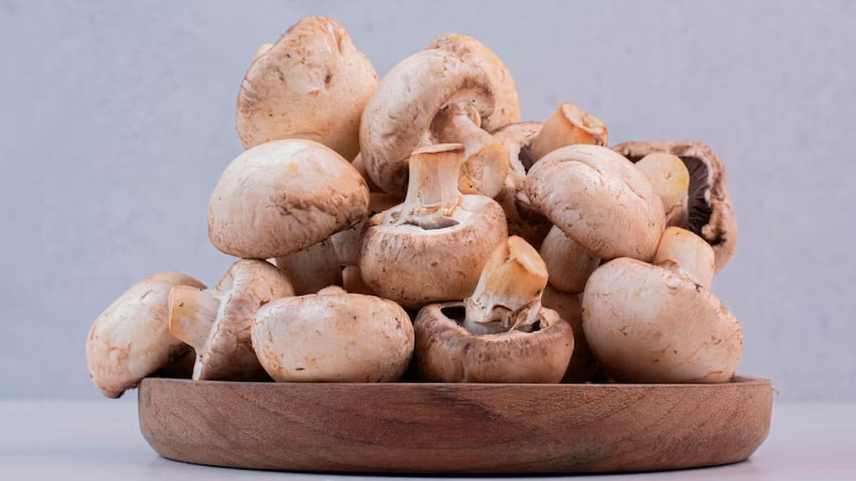 Here are benefits of eating mushrooms rich in vitamin D in calcium deficiency