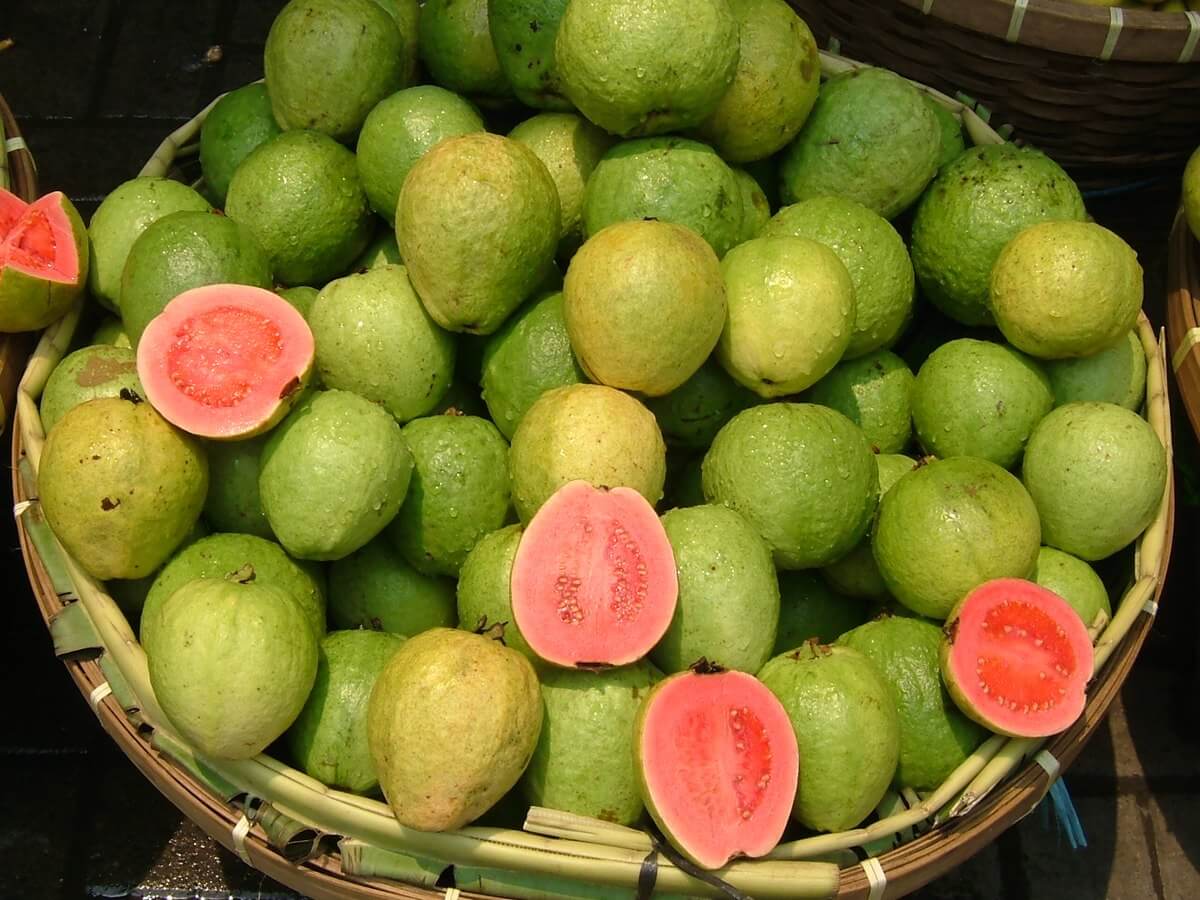 Know how this green fruit can help to get rid of constipation and piles