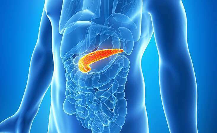 Here are 5 signs of pancreas damage you should not ignore