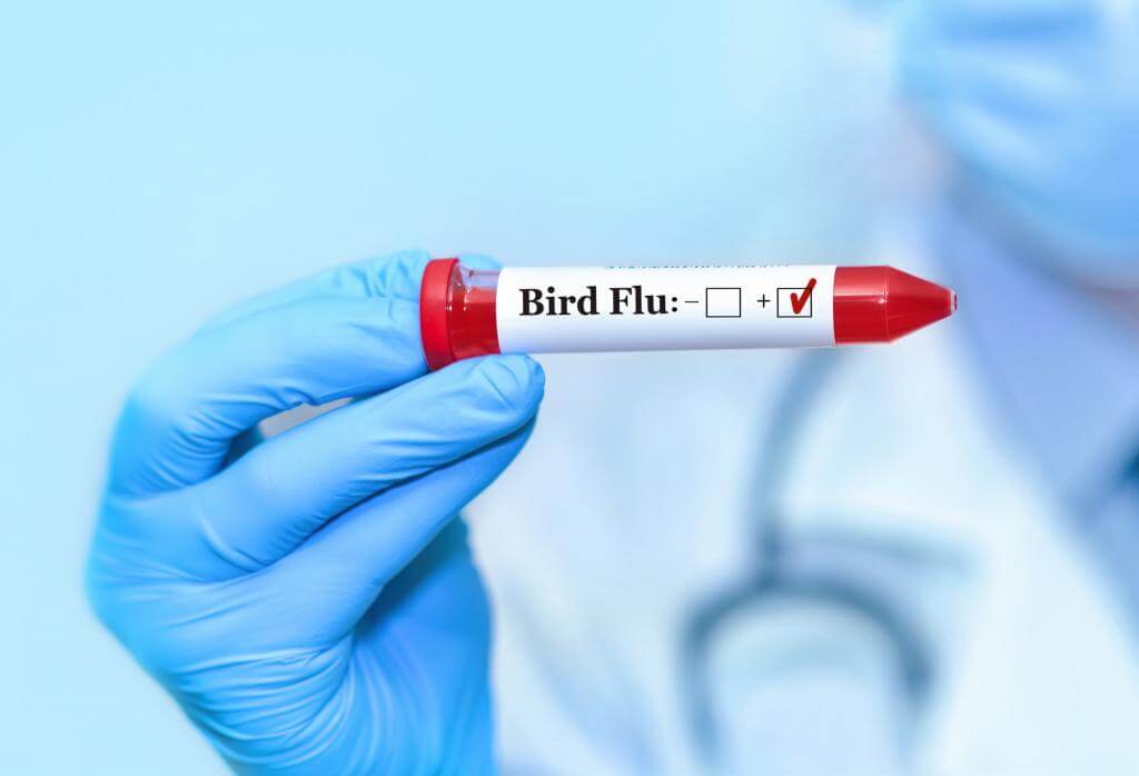 WHO confirms first death from bird flu in Mexico