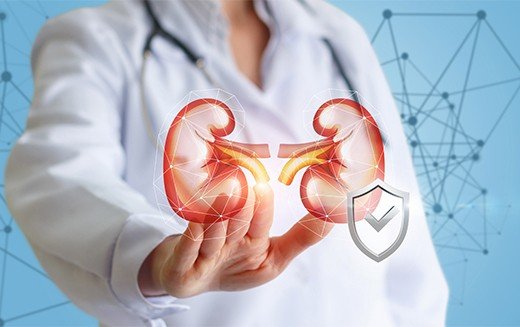 World Kidney Day 2025: Keep a check on your kidney health easily at home in these ways