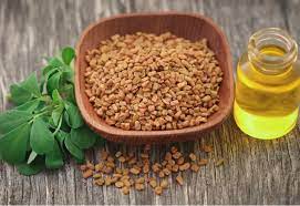 Know how fenugreek seeds are beneficial in controlling diabetes, reducing weight