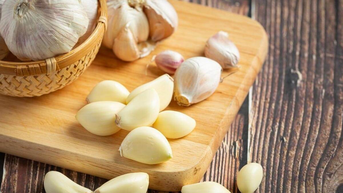 Know how eating garlic on an empty stomach can benefit cholesterol level, immune system