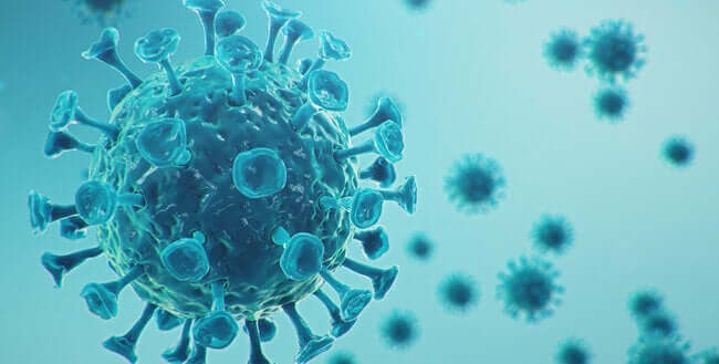 91 cases of norovirus reported in US, full details