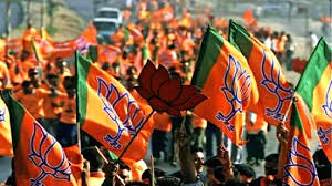 Lok Sabha Election Results 2024: BJP Wins All 29 Seats In Madhya Pradesh