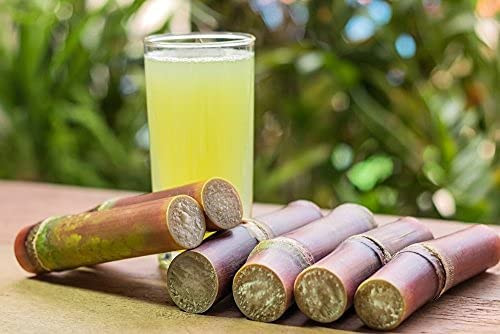 Coimbatore Scientists Develop Nutrient-Rich Sugarcane Juice Powder