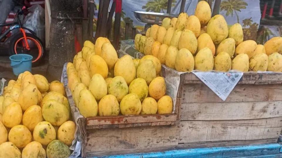 Mangoes arrive early than usual this season in Hyderabad city