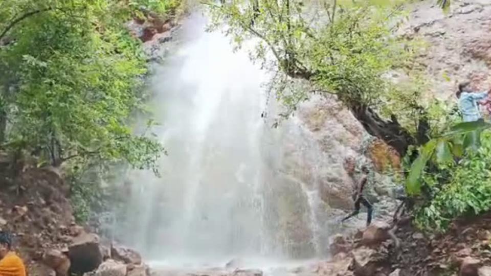 Vennela waterfall in Kothagudem comes alive, attracts tourists