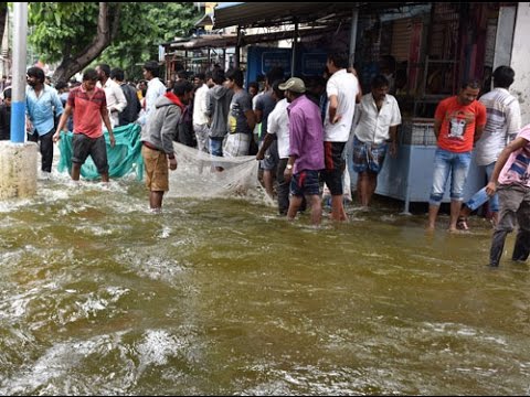 localscatchfishonroadassuraramlakeswellsinsecunderabad