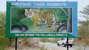 415 families from Amrabad Tiger Reserve to be relocated