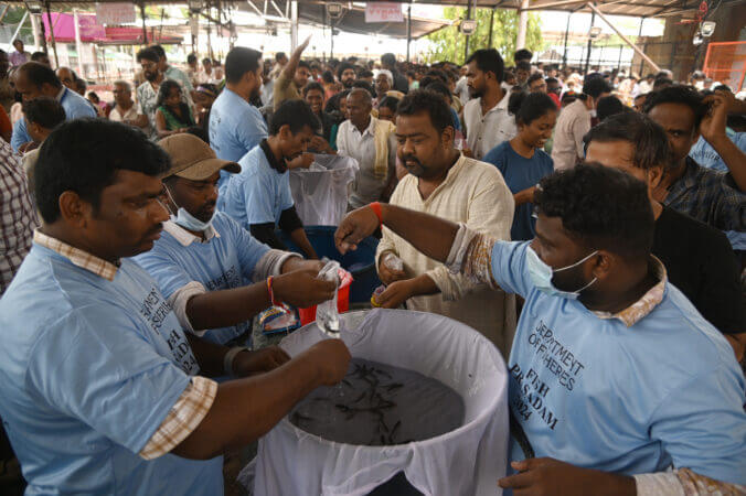 ‘Fish prasadam’ event at Hyderabad’s Nampally sees significant turnout from across India