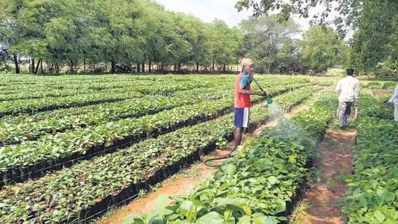 Village in Telangana’s Warangal district selected for Gram Swaraj Award