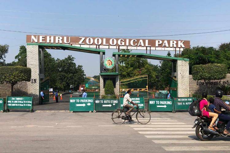 nehruzoologicalparkwillopenforvisitorsfromtomorrow