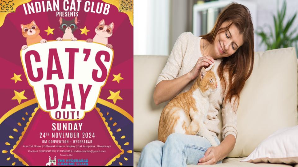 Hyderabad to host ‘Cat’s Day Out’ on November 24