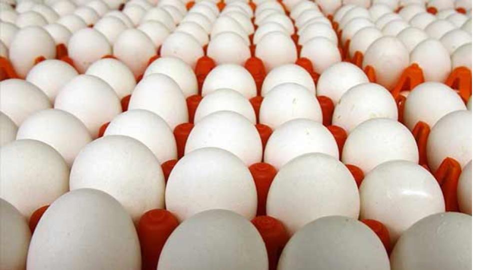 Egg prices hit the roof in Karimnagar, now selling for up to Rs 8 each