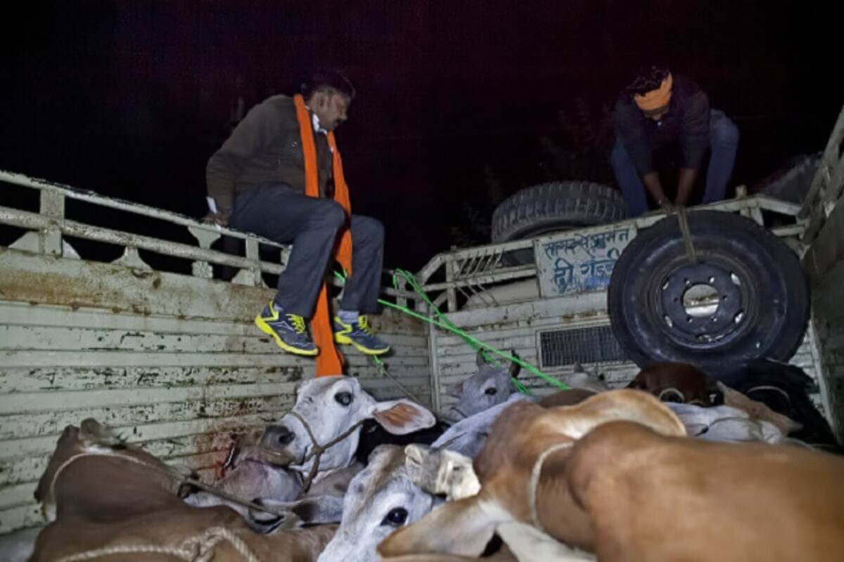 Tension at Malakpet as women stop vehicle carrying cattle: Gau Raksha Dal workers involved