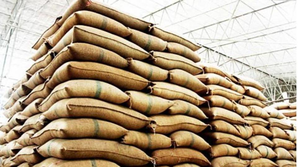 Paddy procurement begins in Nalgonda district