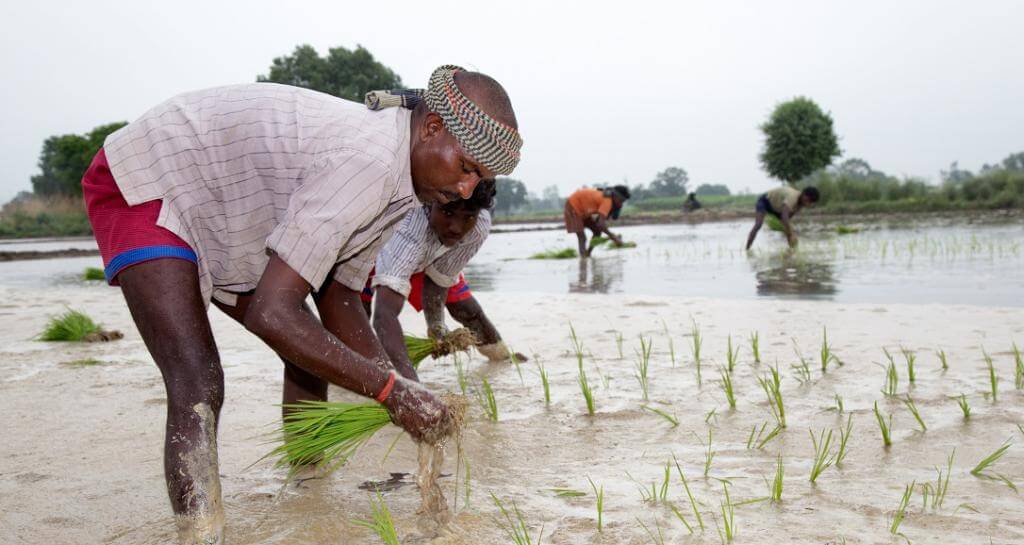 Farmers face challenges with no Kisan Sarkar in Telangana