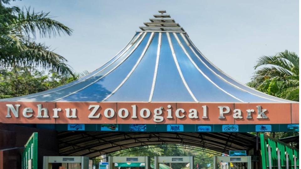 anotherzooparktocomeupinhyderabadoutskirts