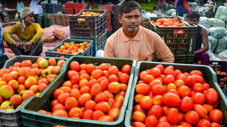 Tomato prices in Hyderabad skyrocket