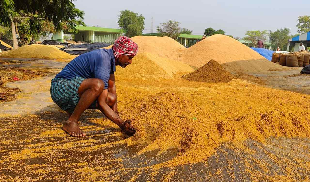 Telangana’s paddy procurement falls short despite record harvest