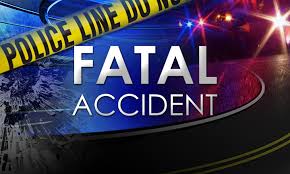 Two killed in fatal road accident in Shadnagar Early Monday