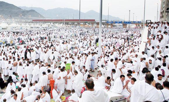 halfoftheudfreturnedtopilgirmsofhajj2010