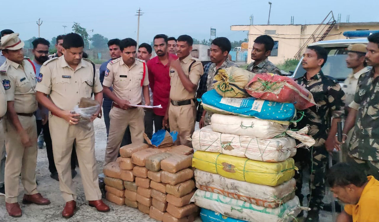 Ganja worth Rs 72.50 lakh seized in Asifabad, one arrested