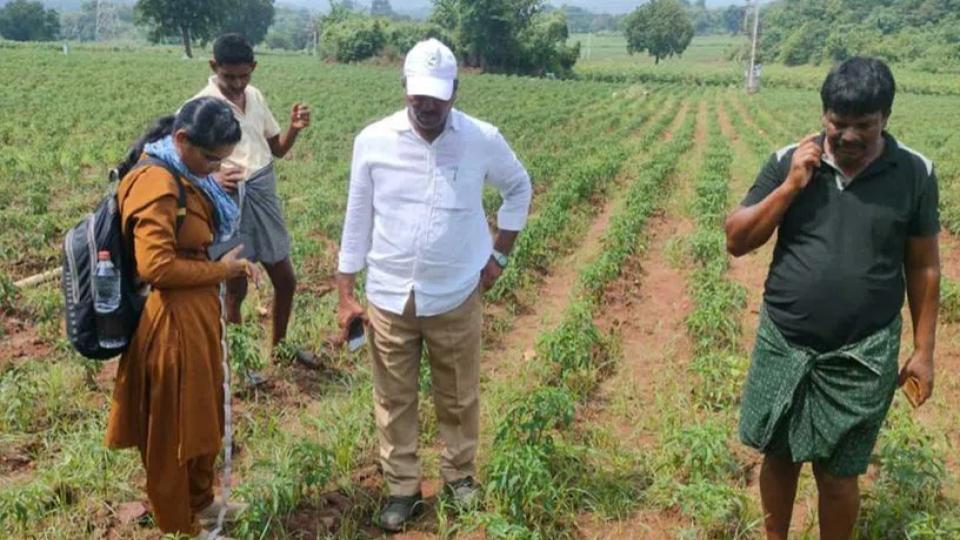 Leopard’s pugmarks spotted in Kothagudem