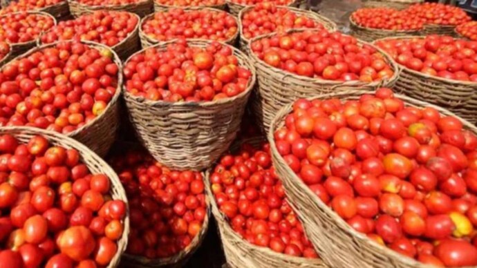 tomatopricescrossrs100perkgmarkinhyderabad