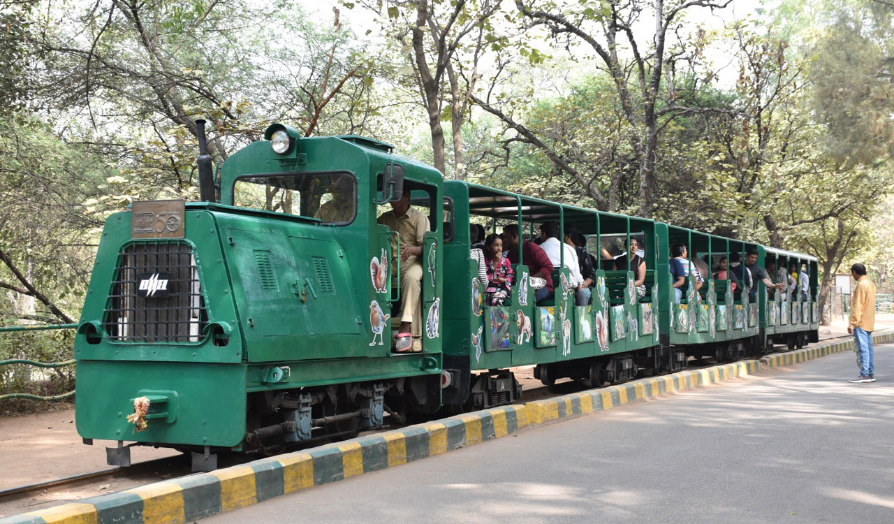 Toy train services restart at Nehru Zoo Park