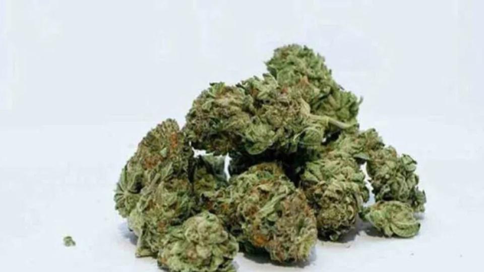 Banjara Hills resident caught smuggling ganja, 9 kg of contraband seized