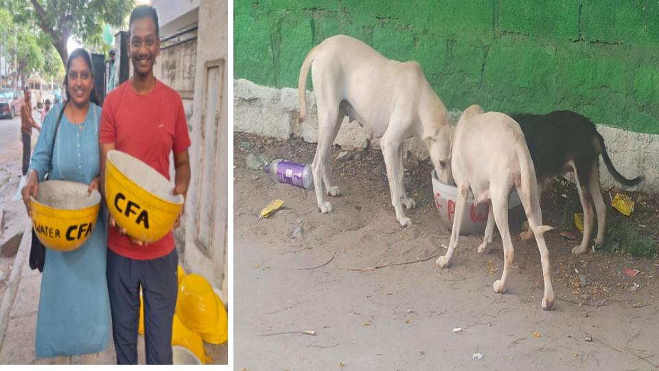 Citizen for Animals places water bowls across Hyderabad to help birds, animals