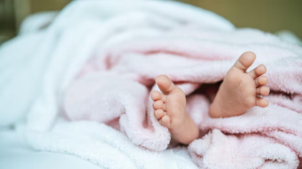 Premature baby’s body found in well in Telangana