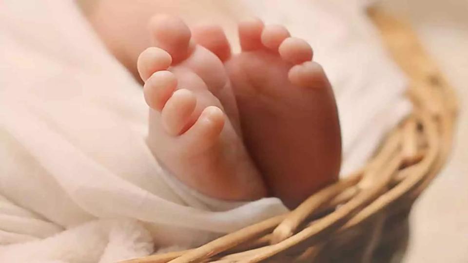 Body of newborn found in dustbin in Nirmal