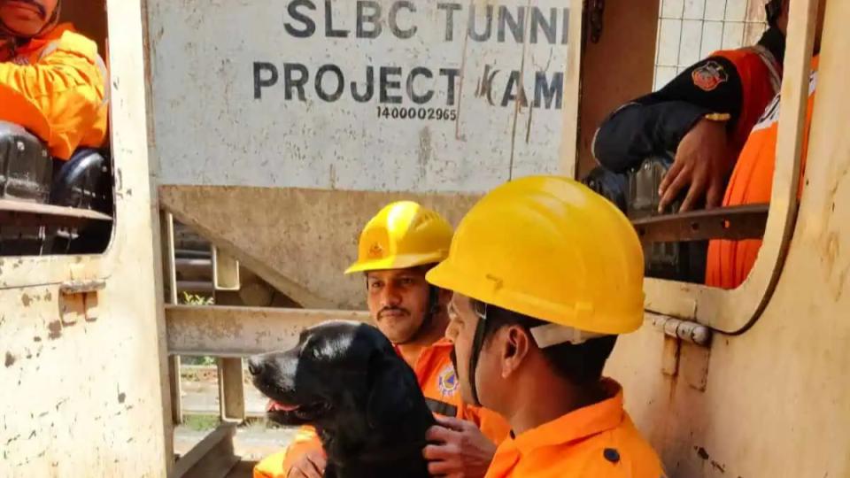 SLBC tunnel, Sniffer dogs deployed to rescue trapped workers