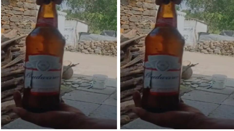 Remains of lizard found in beer bottle in Vikarabad