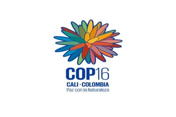 COP16 begins in Colombia