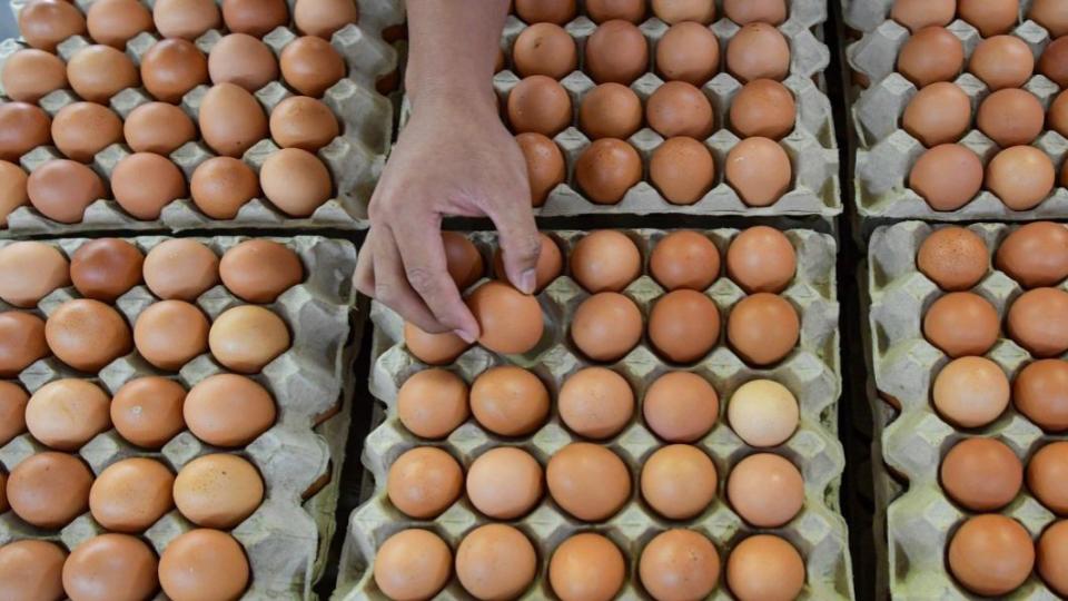 Bangladesh cuts egg import duties, from 25 to 5 pc