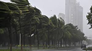 Typhoon Yagi claims 14 lives in Vietnam and destroys over 3000 buildings