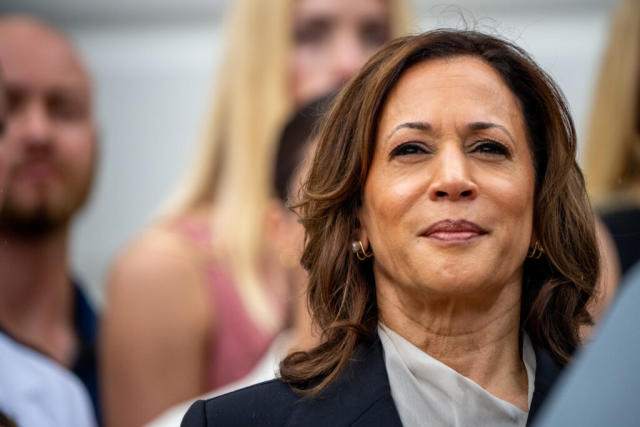 usvicepresidentkamalaharrisformallysecuresdemocraticpresidentialnomination