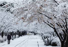 Heavy Snow Hits South Korea